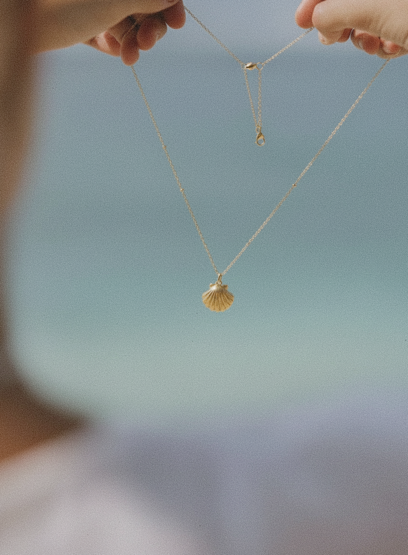 Sea Shell Pendant Necklace