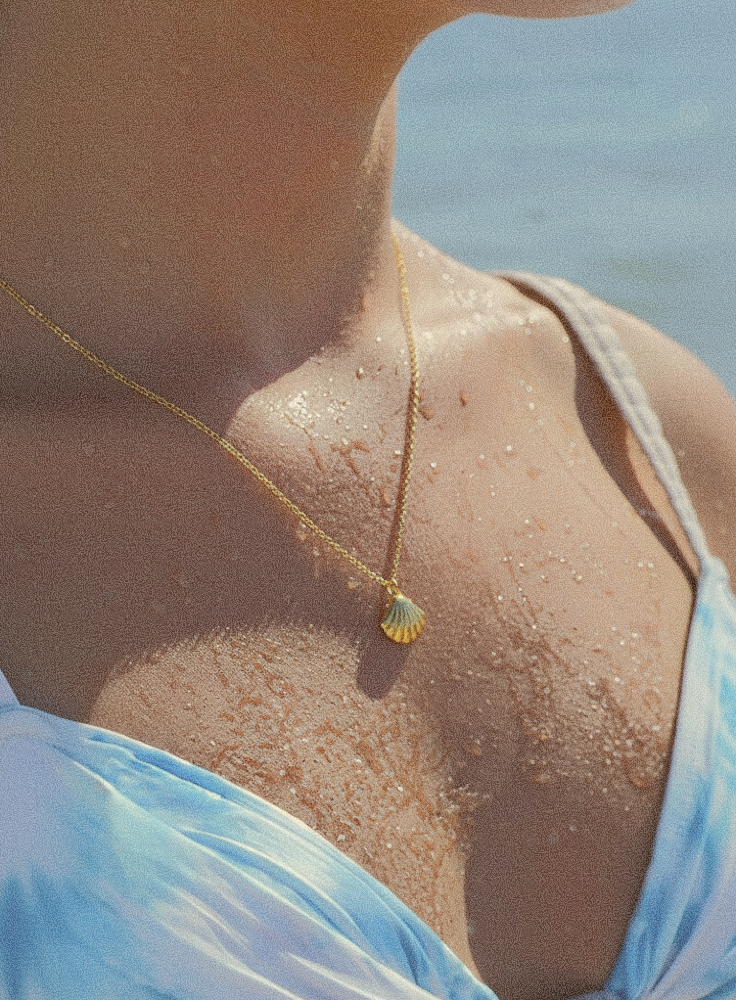 Sea Shell Pendant Necklace