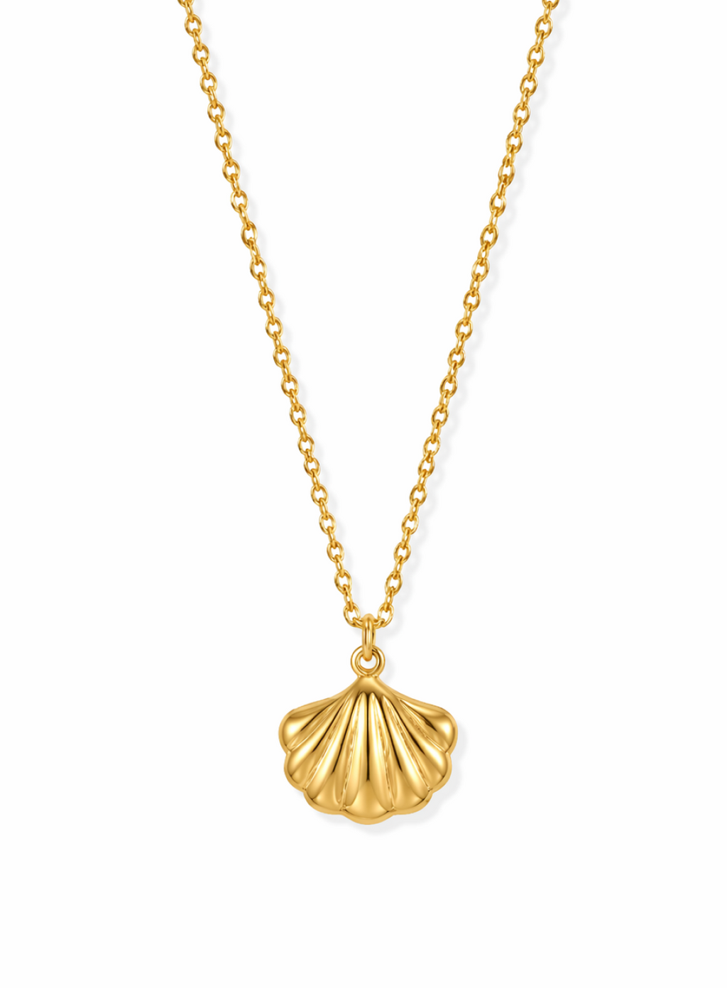 Minimal Shell Pendant Necklace