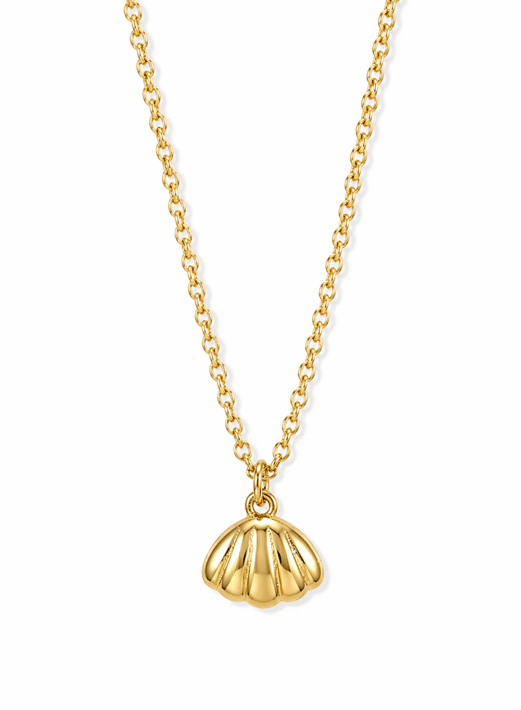 Sea Shell Pendant Necklace