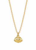 Sea Shell Pendant Necklace