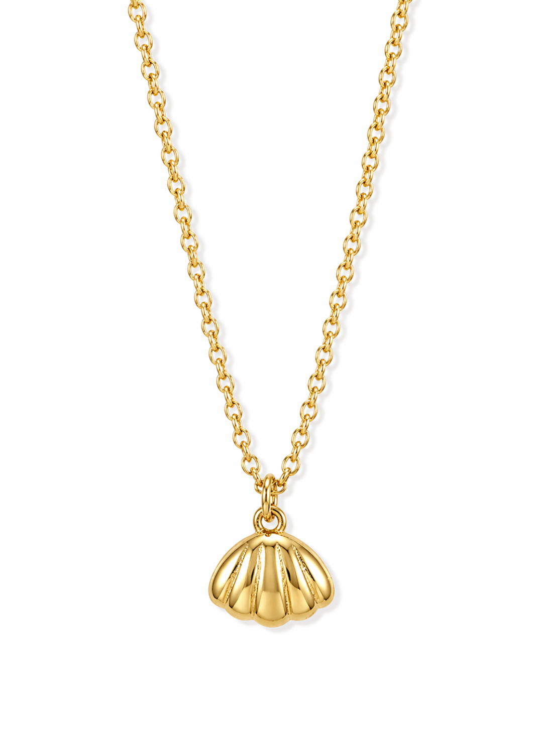 Sea Shell Pendant Necklace