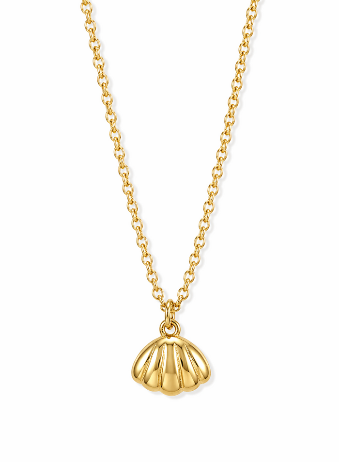Sea Shell Pendant Necklace